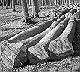 image04.jpg (8644 bytes)
